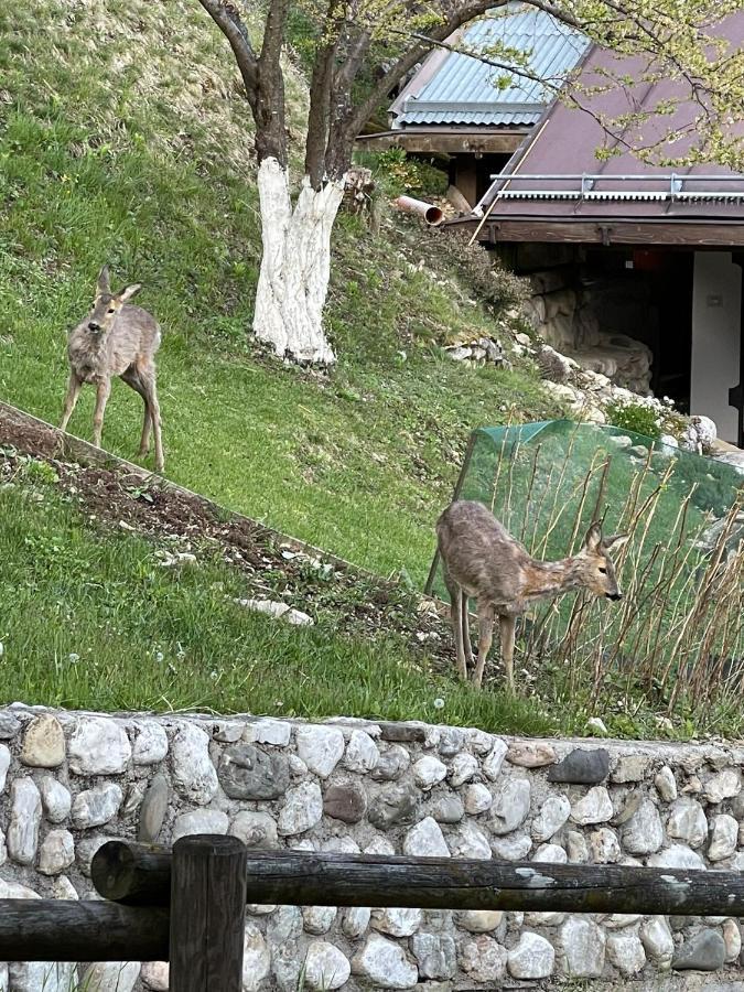 Appartamento In Montagna Venas Eksteriør billede
